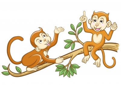 monkeys chattering