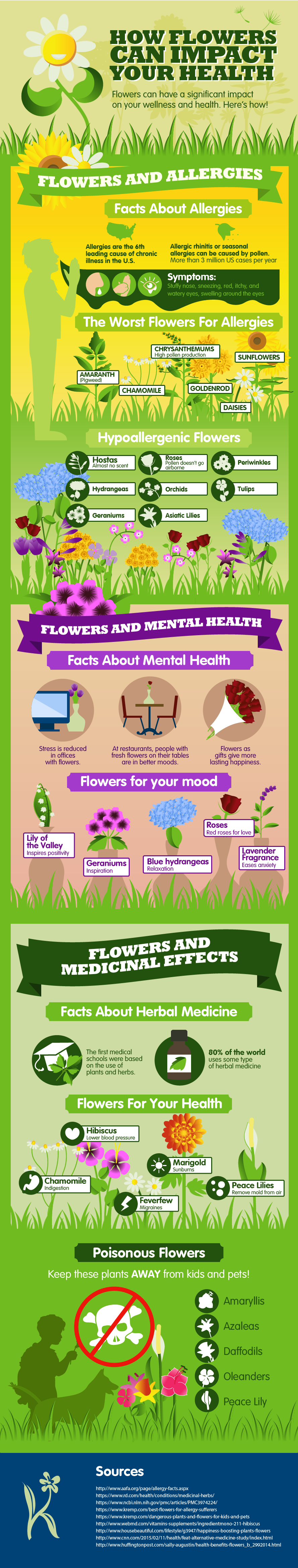 Flowers, Allergies, Mental Health & Medicinal Effects - Anglia ...